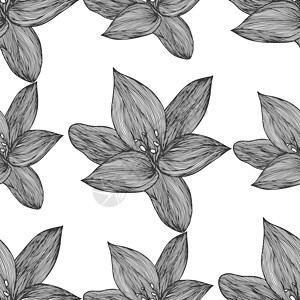 黑色和白色的花卉矢量背景 用于纺织品设计的线性百合花线无缝图案 矢量无缝黑白花卉图案打印木槿植物花瓣漩涡卡片热带滚动绘画模版图片