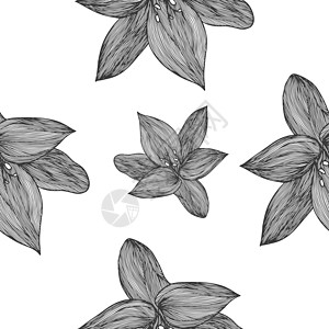 黑色和白色的花卉矢量背景 用于纺织品设计的线性百合花线无缝图案 矢量无缝黑白花卉图案花瓣植物模版叶子标题绘画木槿漩涡树叶繁荣图片