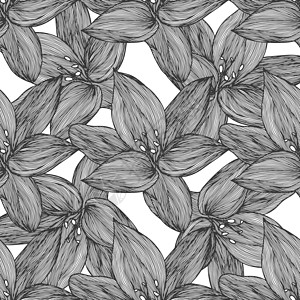黑色和白色的花卉矢量背景 用于纺织品设计的线性百合花线无缝图案 矢量无缝黑白花卉图案绘画卡片模版树叶打印紫荆花热带植物花瓣漩涡图片