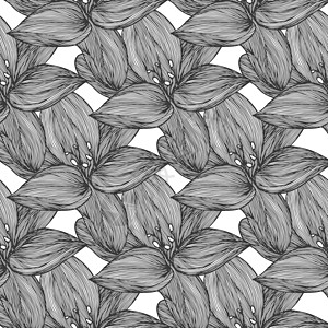黑色和白色的花卉矢量背景 用于纺织品设计的线性百合花线无缝图案 矢量无缝黑白花卉图案艺术热带树叶绘画模版卡片标题木槿繁荣百合图片