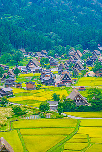 白川市(高山市 大富县)图片