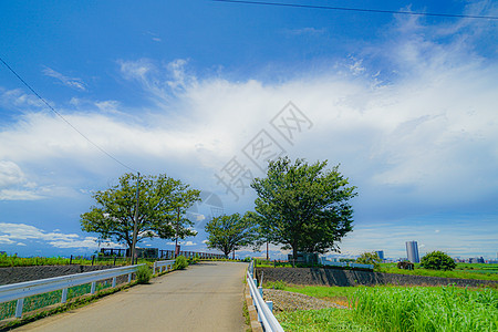 松道市箭头乡村地貌农业植物松户稻田晴天好天气稻穗蓝天农村图片