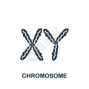 染色体图标 用于模板 网络设计和信息图的单色简单生物工程学图标怀孕分娩女权遗传男性螺旋代码生活性别胚胎图片