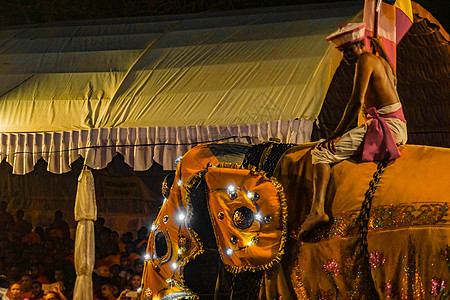 节斯里兰卡糖果宗教服装节日盛宴队列活动舞蹈家神庙民族图片
