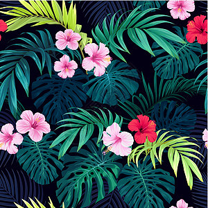 无缝手牵引热带矢量模式 有明亮的象皮花和深色背景的外来棕榈叶棕榈紫色木槿海滩衬衫丛林织物插图植物叶子图片