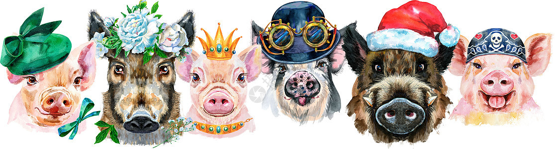 猪的边界 猪和野猪的水彩色肖像卡通片农场打印牡丹宠物插图蒸汽头巾猪肉眼镜图片