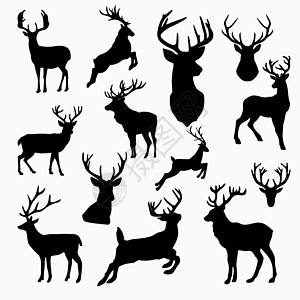 白色背景上隔离的三组鹿矢量双光影图示插图图片