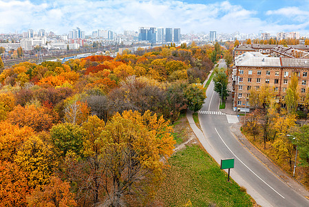 城市秋天风景中的公园的明亮橙色树叶 从顶层看出来图片