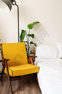 室内有舒适的黄色椅子 在白墙附近铺床和植物建筑学公寓酒店设计小样奢华风格沙发框架木头背景图片