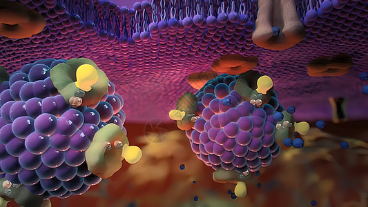 入室牢房的Ion 频道微生物学细胞药品插图生物学医疗运输科学宏观荷尔蒙图片