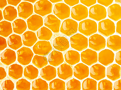 蜂蜜蜂窝闭合 新鲜的细丝滴滴糖蜜 宏观背景荒野生产蜜蜂液体六边形花粉药品蜂巢蜂蜡保健图片