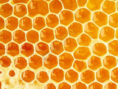 蜂蜜蜂窝闭合 新鲜的细丝滴滴糖蜜 宏观背景保健药品蜜蜂蜂蜡橙子金子细胞生产蜂巢梳子图片