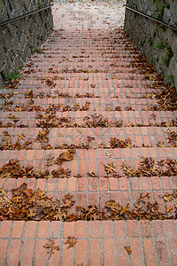 在公园的旧楼梯上 秋叶树叶图片