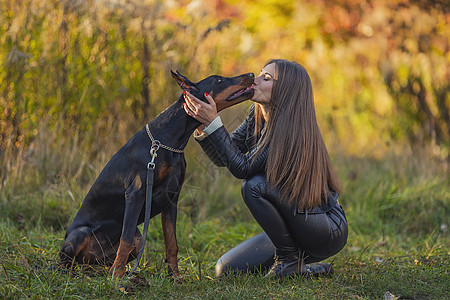 女孩坐在多伯曼狗旁边拥抱斗牛犬哺乳动物女士时装犬类宠物教育朋友友谊图片