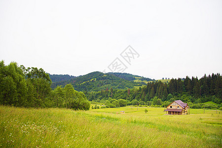 夏季喀尔巴阡山自然农场农家院村庄树木山坡农田干草牧场农家薄雾图片