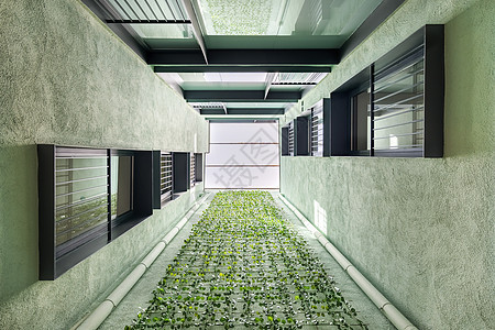 巴塞罗那垂直园艺现代住宅楼的仰视图 不对称放置的黑色窗户和绿色墙壁图片