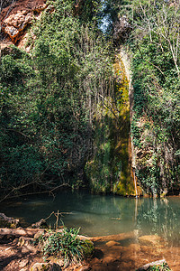 山坡上小瀑布创造的绿水湖 在阳光明媚的春日 树林胜地叶子晴天公园树叶植物季节岩石森林流动图片