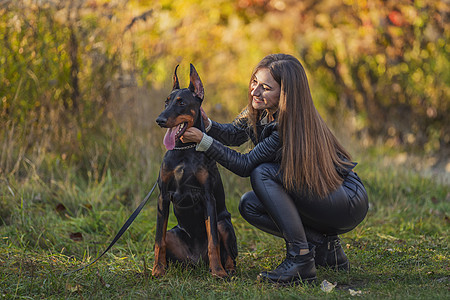 女孩坐在多伯曼狗旁边教学朋友季节犬类锻炼斗牛犬命令女性宠物拥抱图片