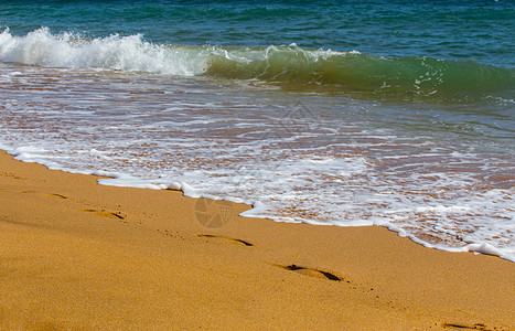 海浪向海岸飘移 海泡沫 人类脚足的踪迹图片