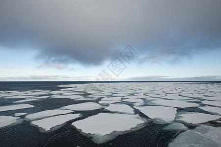弗朗兹约瑟夫土地附近巴伦支海夏季的海冰蓝色生态旅行危险冷冻冰山气候变化环境天空气候图片