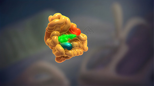 细胞核和蛋白3d动脉硬化科学小区人体专注疾病抗体微生物学药品图形图片