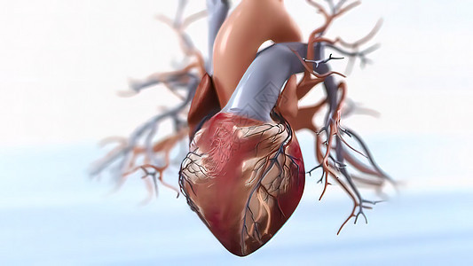 急性冠状腺综合征3d女士胶囊烧伤有氧运动心绞痛症状药片心脏梗塞情况图片