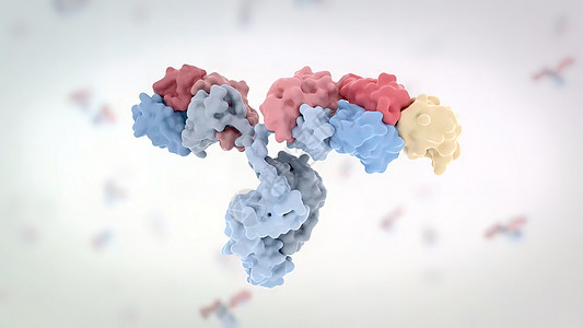 典型的抗体分子结构 反体和氨基酸多肽原子酶标免疫学表位化学宏观氨基单抗药品背景图片