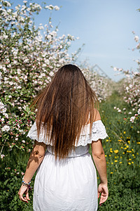 年轻的caucasian年轻女人 享受着苹果树的开花女士公园叶子花朵香气女性花园女孩黑发植物群图片