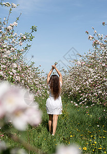 年轻的caucasian年轻女人 享受着苹果树的开花女性花朵女孩植物群香气公园季节黑发女士花园图片