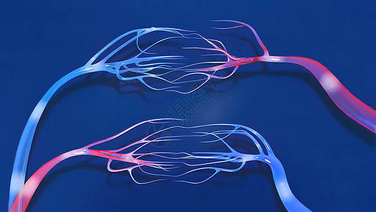 3 d 说明毛细血管中的血液流动情况艺术品树突纤维生物神经元插图运动药品系统科学图片