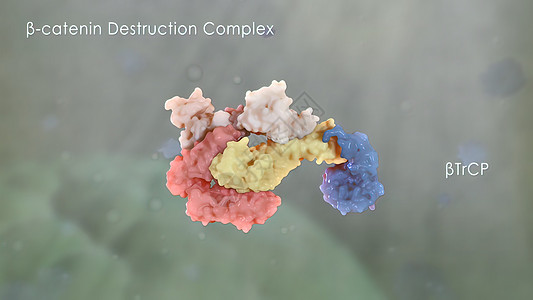 加泰宁在癌症发育中发挥作用微生物学形状医学病原微生物保健细胞细胞核癌细胞细菌图片