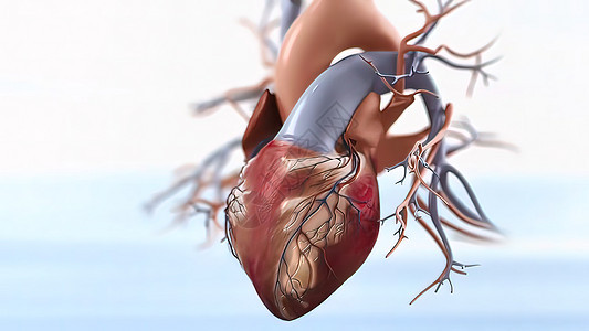 急性冠状腺综合征3d有氧运动梗塞心脏病心脏女士胸部压力呼吸伤害血压图片