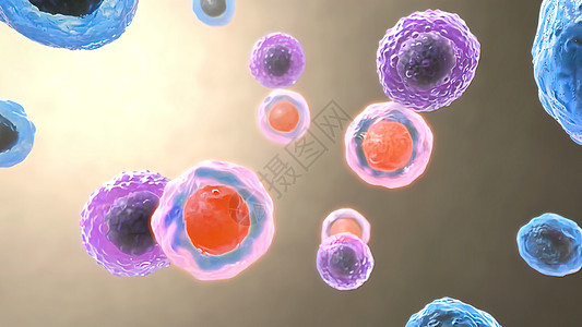 B细胞和T细胞受体对抗原的识别人体绘图癌细胞胰岛素分子倍率疾病受精卵细胞器代谢图片