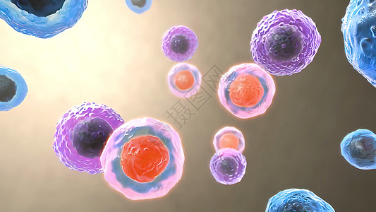 B细胞和T细胞受体对抗原的识别绘图葡萄糖粒子核子疾病机制分子结构淋巴医疗图片