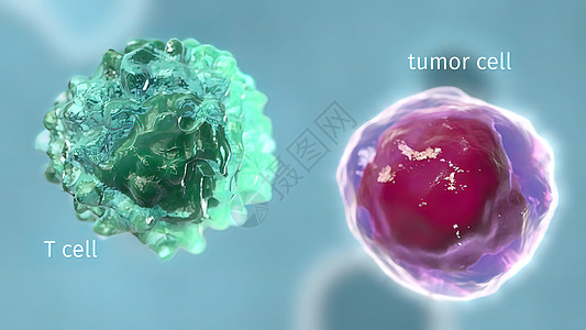 血液中的抗体是我们免疫系统的一部分流感发烧微生物学病原感染传染性肝炎免疫学传染抗原图片