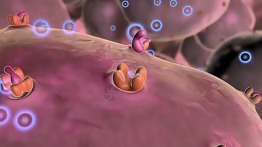 巨体受体医学插图活动大型页数受体结构代谢细胞单细胞卡通片细菌糖尿病生物学科学绘图图片