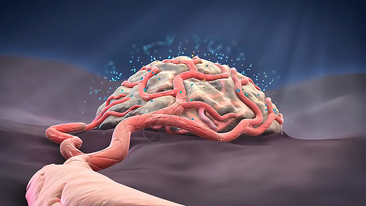 3D医疗图解 三维分立体细胞 空间孤立的缩缩式细胞Pericytes血管世界心血管身体疾病医学图形计算机生活毛细管图片
