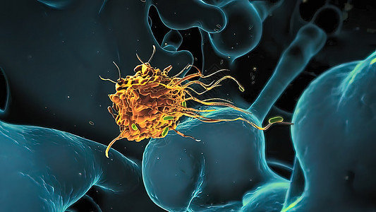 不同形状的细菌 杆状细菌和球菌 人体微生物组 人体致病菌链球菌大肠杆菌皮肤疾病细胞蓝色抗原身体药品病原图片