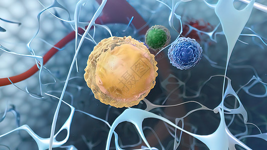 免疫系统中的有用细胞盘子冒险药品渲染微生物静脉癌症实验微生物学生物学图片