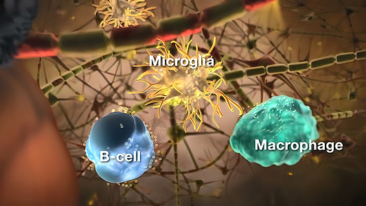 神经系统中的细胞实验蓝色微生物显微镜盘子动脉生物癌症冒险药品图片