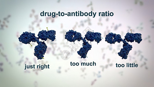典型的抗体分子结构 反体和氨基酸表位生物药品原子免疫学单抗疫苗多肽聚合物细菌图片
