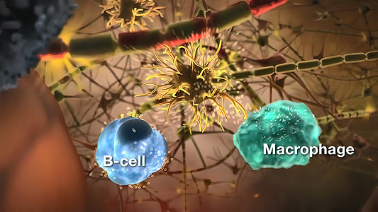 神经系统中的细胞盘子动脉冒险渲染癌症蓝色显微镜微生物学划分细菌图片