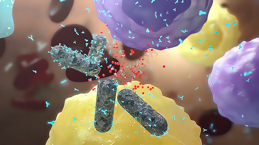 细菌白喉 对抗抗体病理杆状药品免疫微生物学显微镜微生物发烧实验科学图片