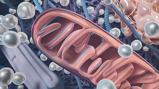 神经系统中的细胞药品划分疾病蓝色实验生物学动脉冒险盘子微生物学图片