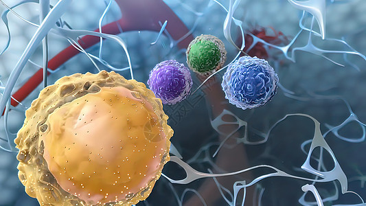免疫系统中的有用细胞渲染静脉微生物学科学显微镜盘子癌症药品划分疾病图片
