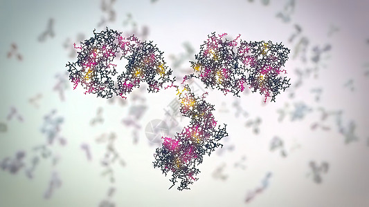 典型的抗体分子结构 反体和氨基酸生物学疫苗单抗氨基聚合物细菌免疫学宏观药品生物图片