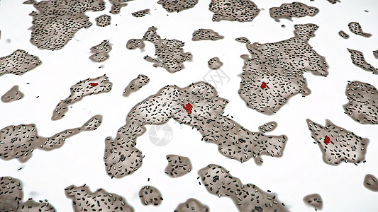 不同形状的细菌 杆状细菌和球菌 人体微生物组 人体致病菌身体大肠杆菌免疫系统皮肤微生物学细胞插图抗原蓝色疾病图片