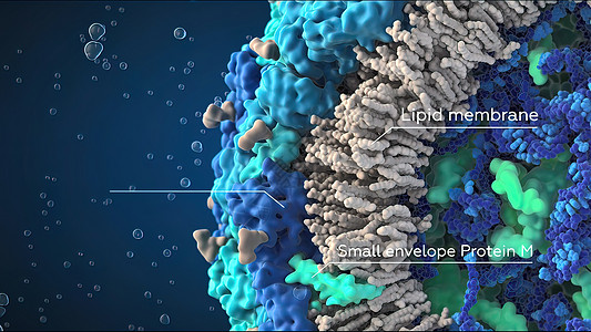 3D 黑背景单元格和内部结构的3D插图微生物学细胞核白细胞动脉硬化细菌受精卵药品保健动脉粥样硬化核子图片