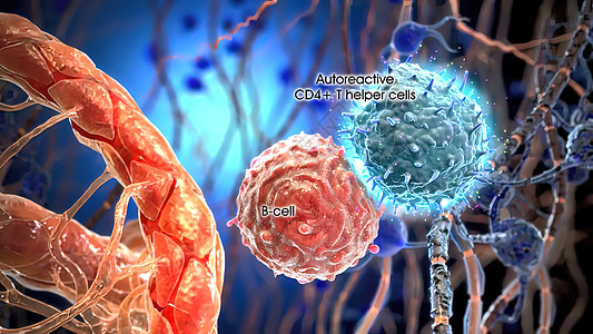 电帮助细胞在免疫细胞表面进行交互作用神经系统专注基因酵素药品生物学神经淀粉斑块树突图片