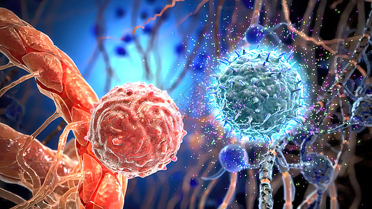 电帮助细胞在免疫细胞表面进行交互作用冲动电脉冲死亡技术网络遗传学头脑树突药品生物学图片